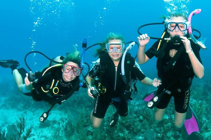 One Day PADI Scuba Diver Course - Photo 1 of 3